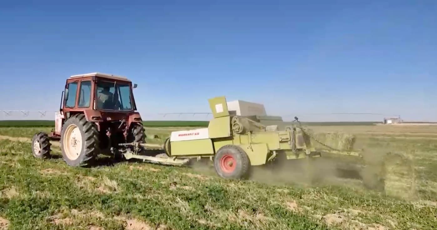 A baler running a windrow and dropping rectangular bales onto the field