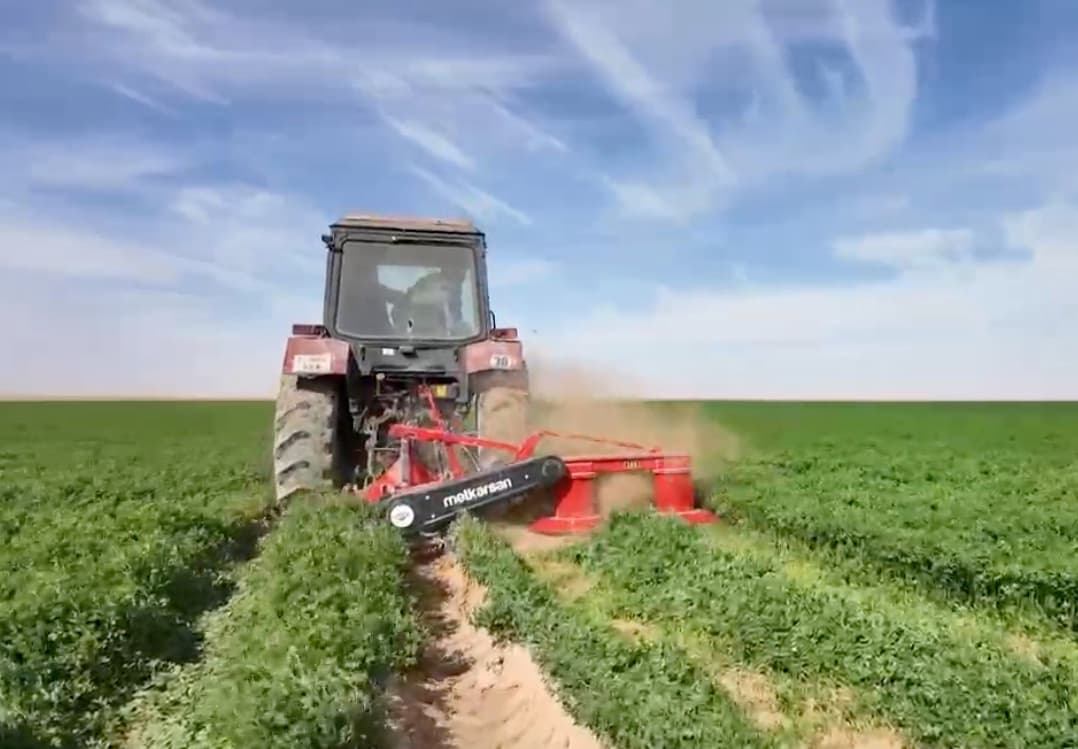 A tractor drawing a disc mower through standing alfalfa, laying it in a windrow behind