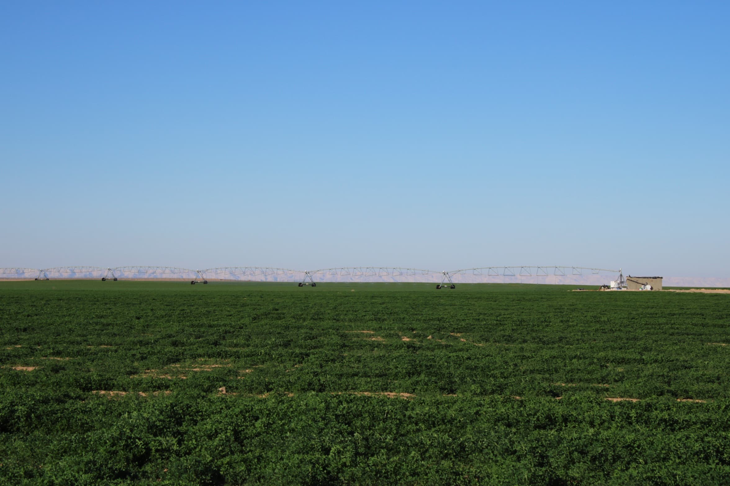 Several centre-pivot spans standing in line across a wide field, desert horizon beyond