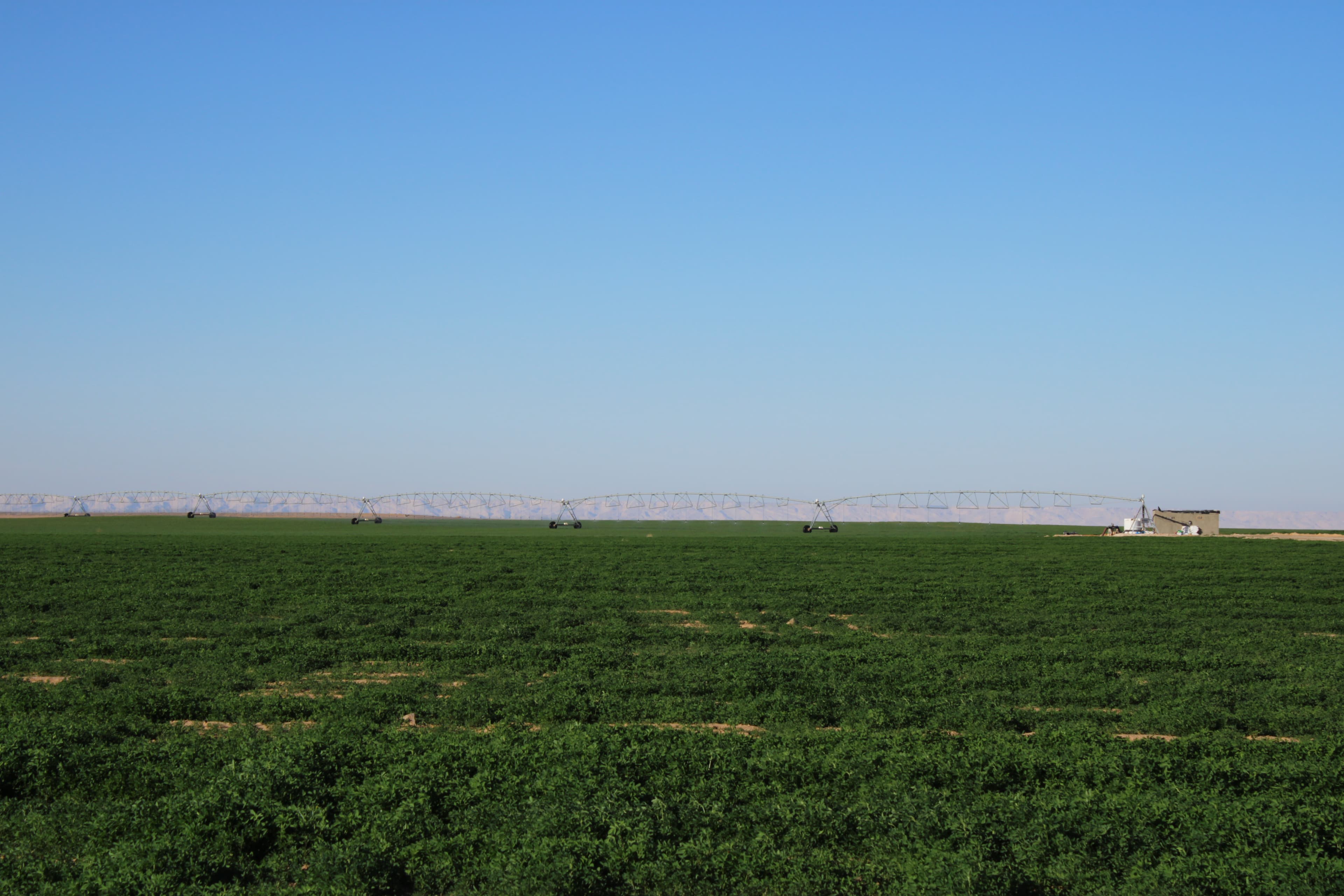 Land