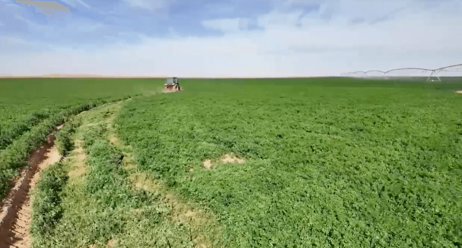 Agriculture